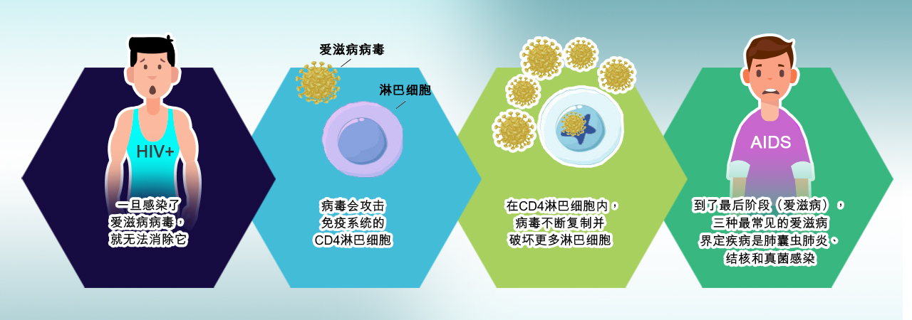 基本资料